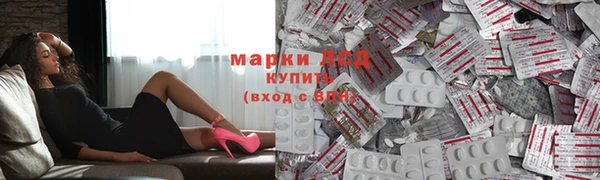 ALPHA-PVP Новозыбков