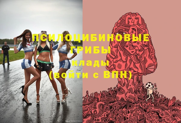 ешки Богородицк